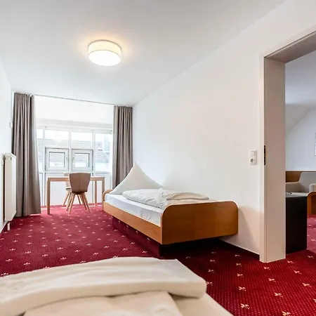 Hotel & Loewen 3*