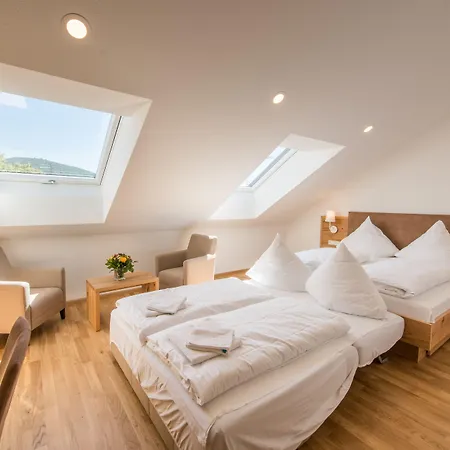 Hotel & Loewen Waldkirch