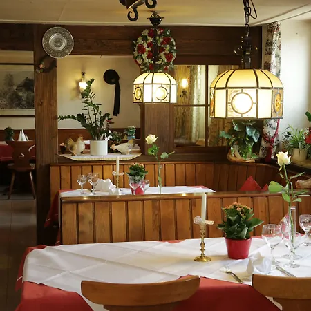 Hotel & Loewen 3*