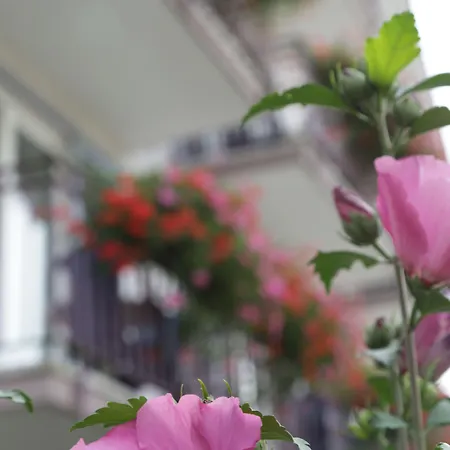 & Loewen Hotel