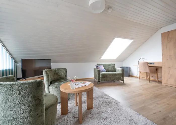 & Loewen 3* Waldkirch